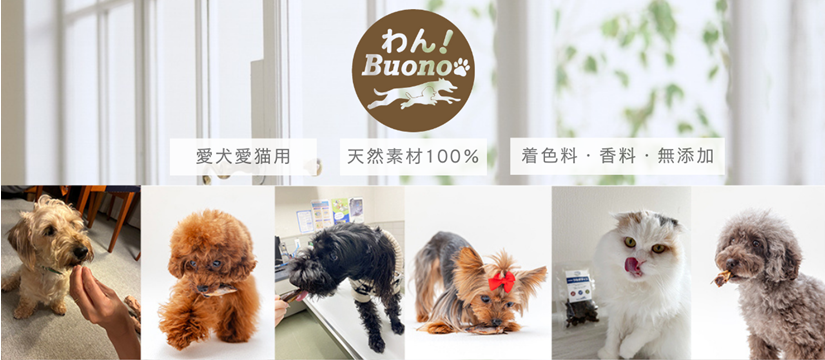 sign_2025-07-30-1537.png